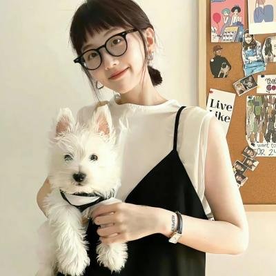 来去美国2